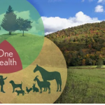 Venn diagram with animals, environment and people with 'one health' at the intersection.