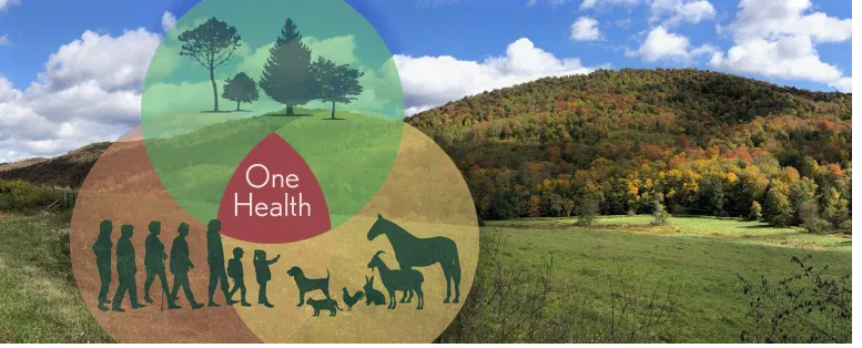 Venn diagram with animals, environment and people with 'one health' at the intersection.