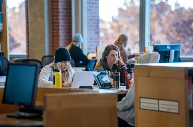 Students in a library