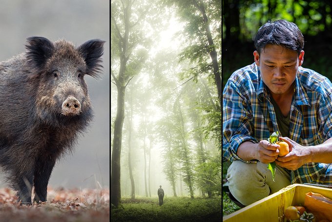 Animal and person to demonstrate One Health concept