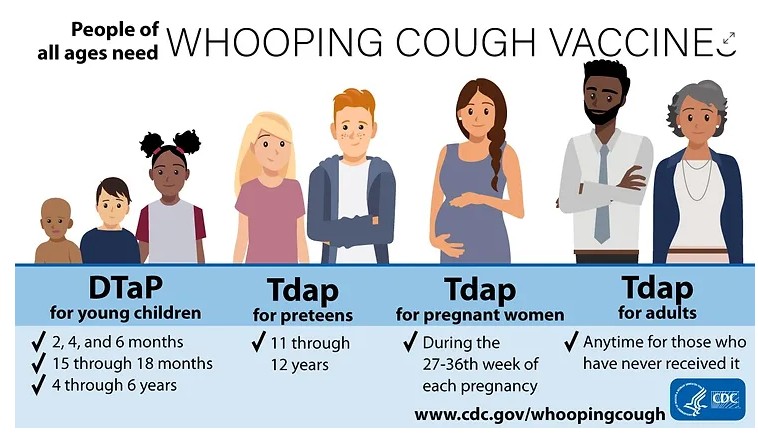 DCD graphic about whooping cough vaccines