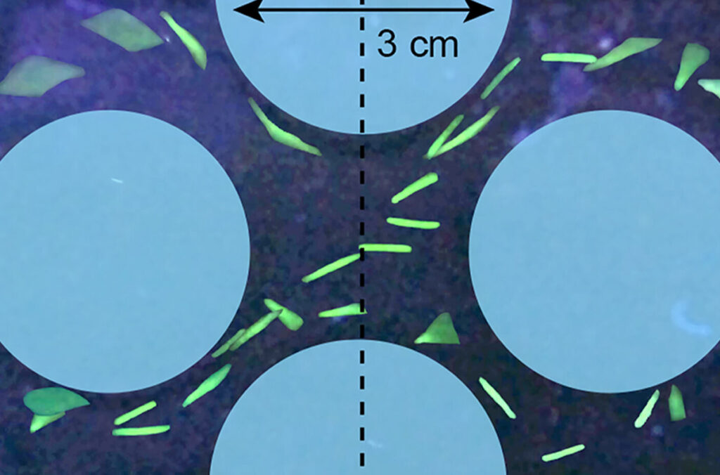 composite image showing fishing line fibers