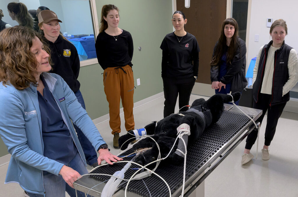 Students and instructor in veterinary medicine lab