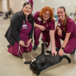 Hursaing students with dog at free clinic