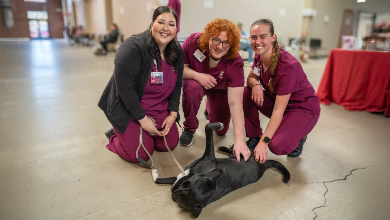 Hursaing students with dog at free clinic