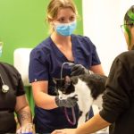 Veterinary students with cat and owner